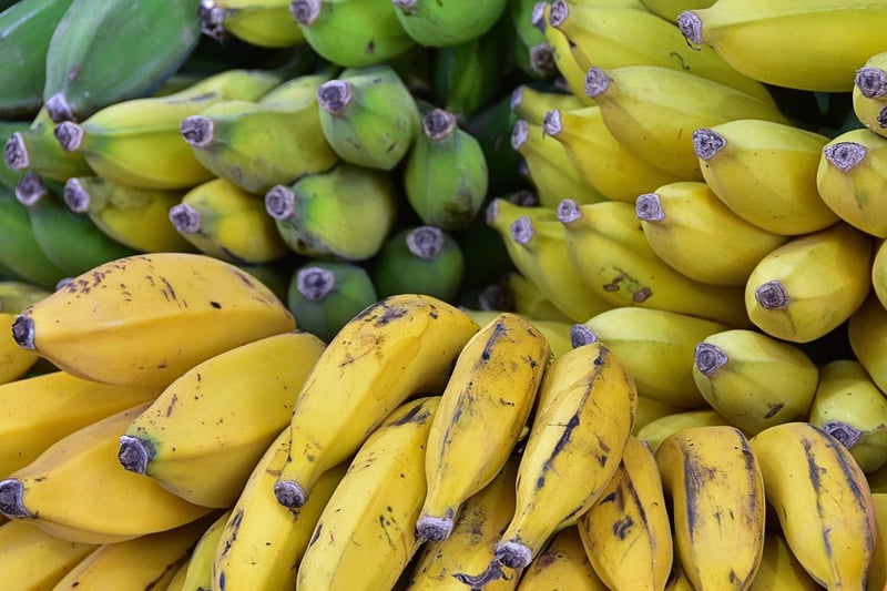 Fresh Fruit Smoothies